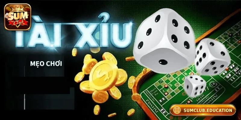Bật mí 3 mẹo hay chơi tài xỉu online